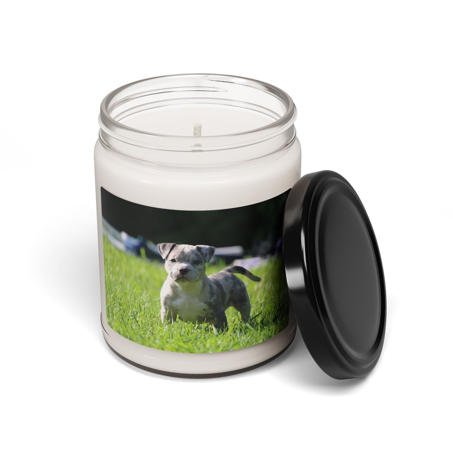 Scented Soy Candle, 9oz